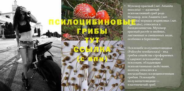 стафф Остров