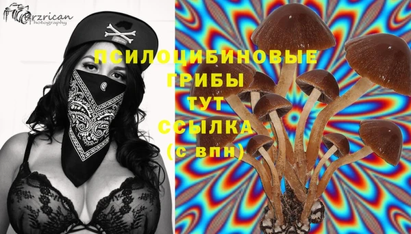 стафф Остров
