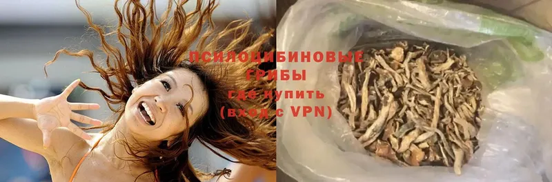 Галлюциногенные грибы Magic Shrooms Большой Камень