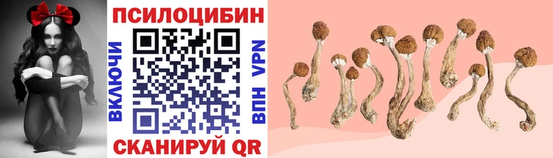 хочу   Большой Камень  Галлюциногенные грибы мицелий 