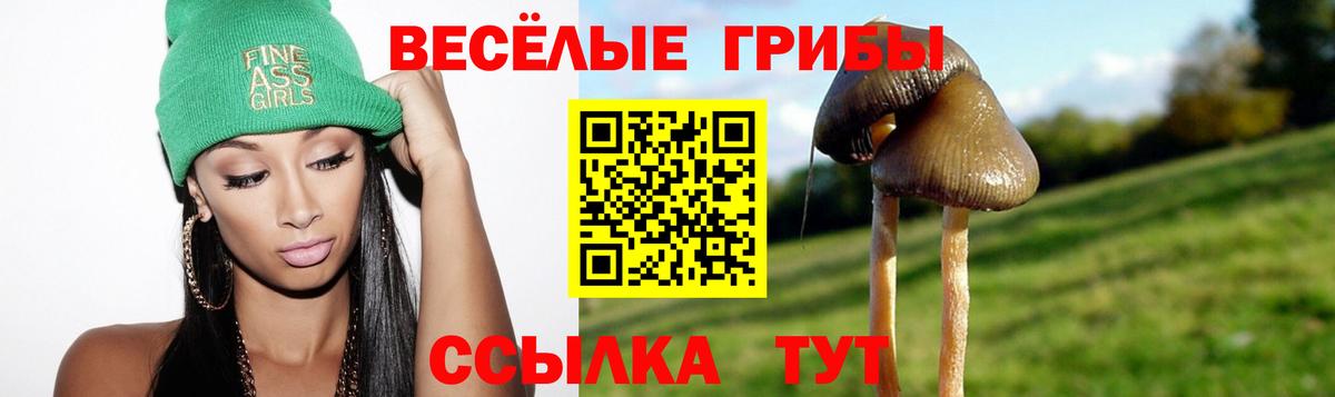 купить наркотики цена  Галлюциногенные грибы Magic Shrooms  Вход с VPN  Галлюциногенные грибы мицелий  Большой Камень 
